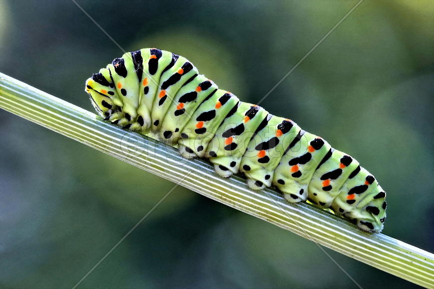 Вперед и вверх