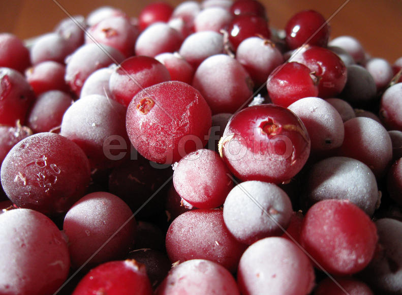 Замороженные ягоды клюквы в инее крупным планом