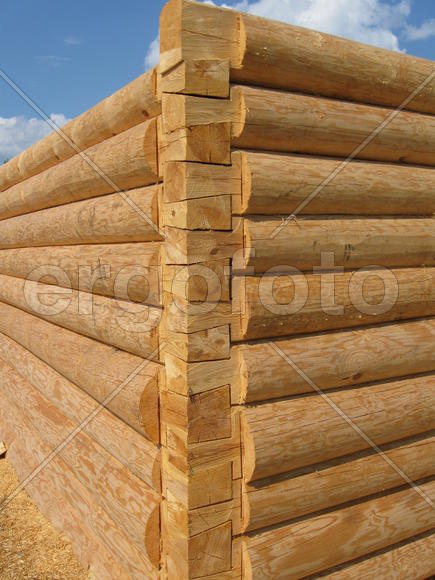 Угловое соединение бревен в срубе. Соединение сруб в «лапу»