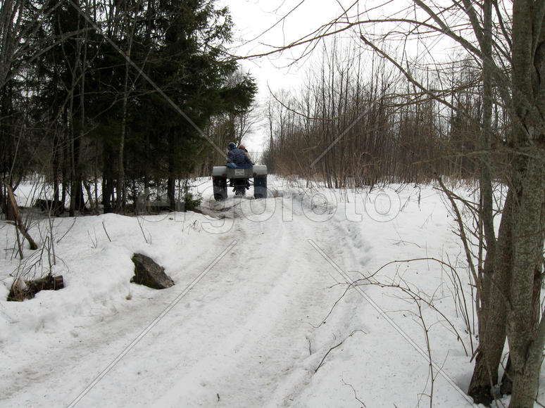 Самодельное самоходное трехколесное транспортное средство передвигается по лесной дороге