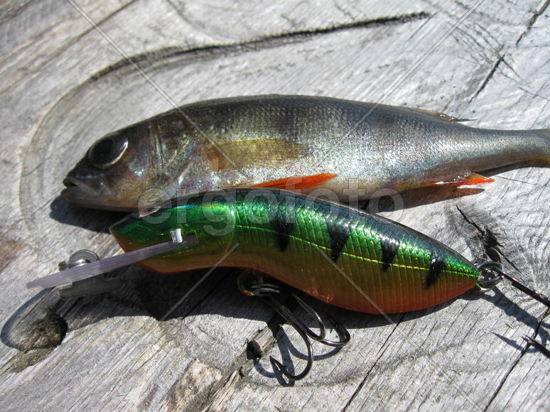 Рыба и воблер с крючками