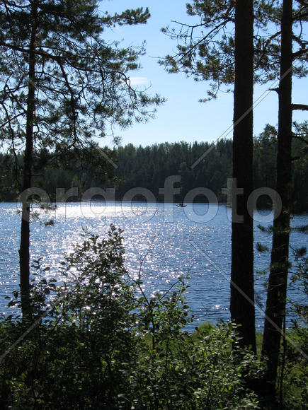 Рыбаки на озере