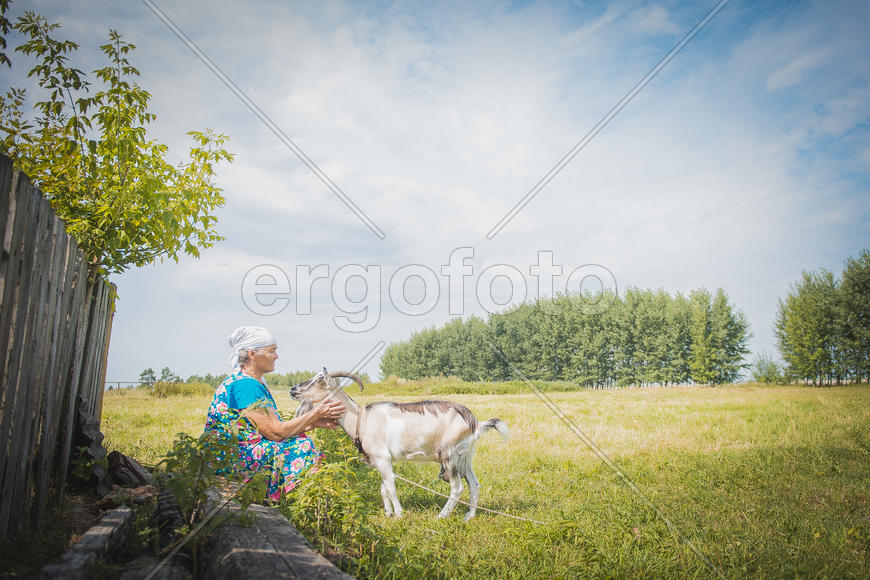 Лето в деревне