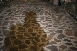 Дорога в гостиницу. Моя тень.