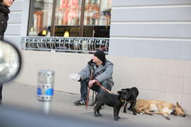 Попрошайка с собаками