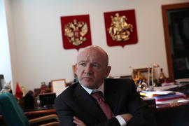 Платонов анализирует