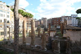 Торре Аржентина, музей под открытым небом.