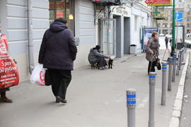 Попрошайка с собаками