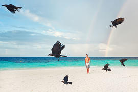 Птицы на пляже