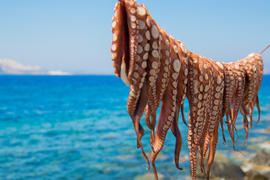 Щупальца осьминога