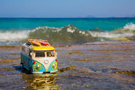 Базик и море