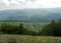 Вид с возвышенности