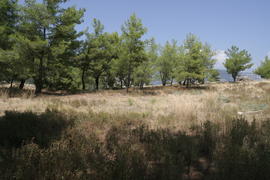 Скала над Турунчем