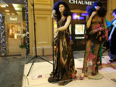 Выставка костюмов. Певица        