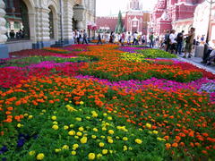 Цветы-цветы             