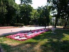 фигурные клумбы