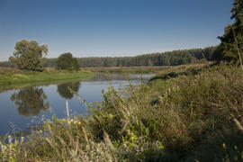 Река и берег