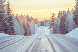 зимняя дорога в лесу