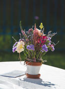 Горшок с цветами