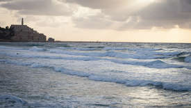 Пена морская