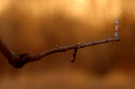 Мой самый первый кадр