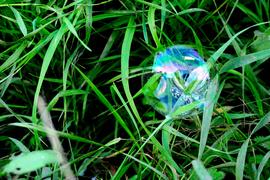 Мыльный пузырь в траве