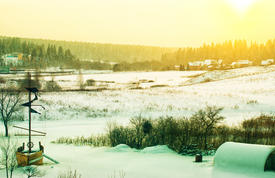 Снежное поле на закате