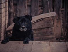 Ждем фотографа