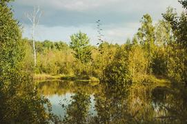 Озеро ранней осенью