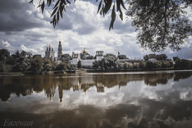 Новодевичий монастырь