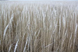 Бесконечность