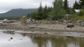 Домик мечты