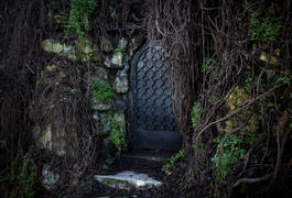 Дверь в нарнию