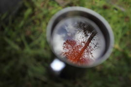 Мир в стакане