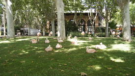  Отдых на траве