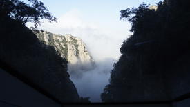  Вечная красота.