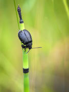 Перед полётом