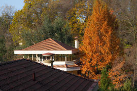 Осенние краски