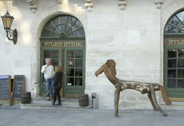 Лошадь в городе Львов