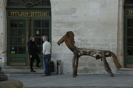 Лошадь в городе Львов