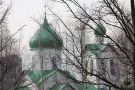 Вербное воскресенье. Купола и кресты