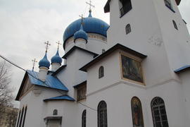 Вербное воскресенье. Купола и кресты