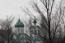 Вербное воскресенье. Купола и кресты