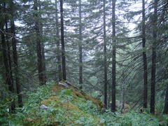 Уральские горы