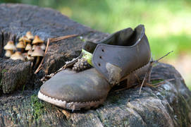 Старые ботинки
