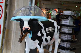 Корова под зонтиком