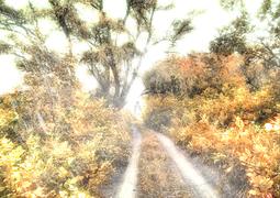 Уходя в осень