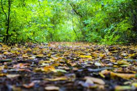 Между осенью и летом