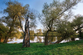 Майский пейзаж