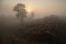 Осенний туман